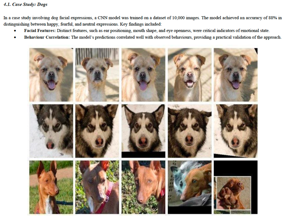 大厂AI,想先读懂猫狗?