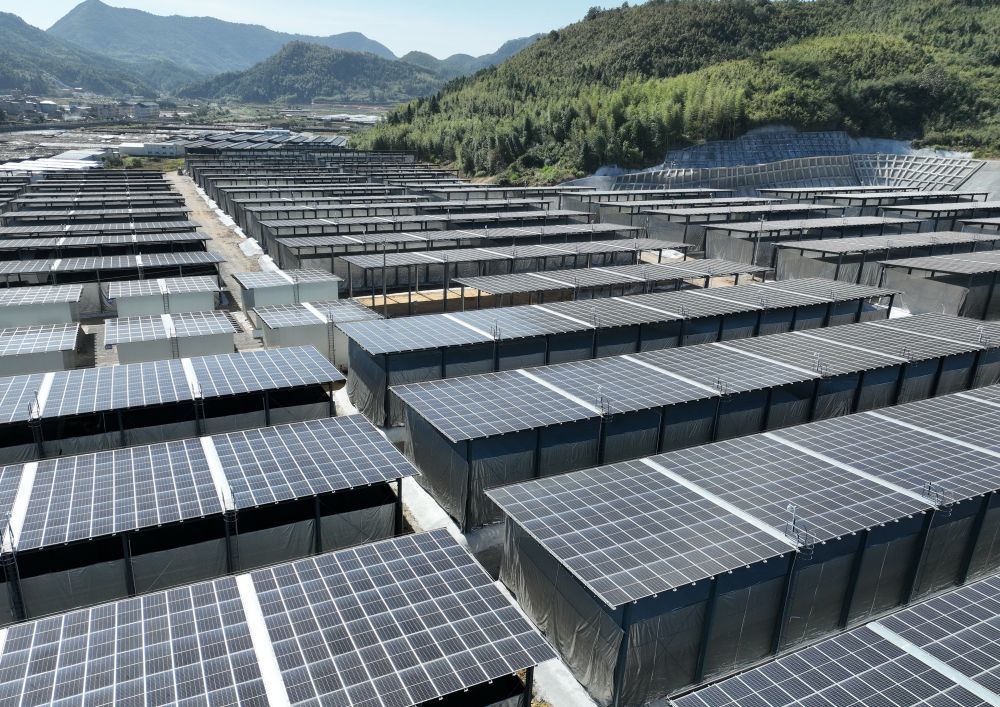 古田杉洋光伏菇棚基地一角。新华社记者 林善传 摄