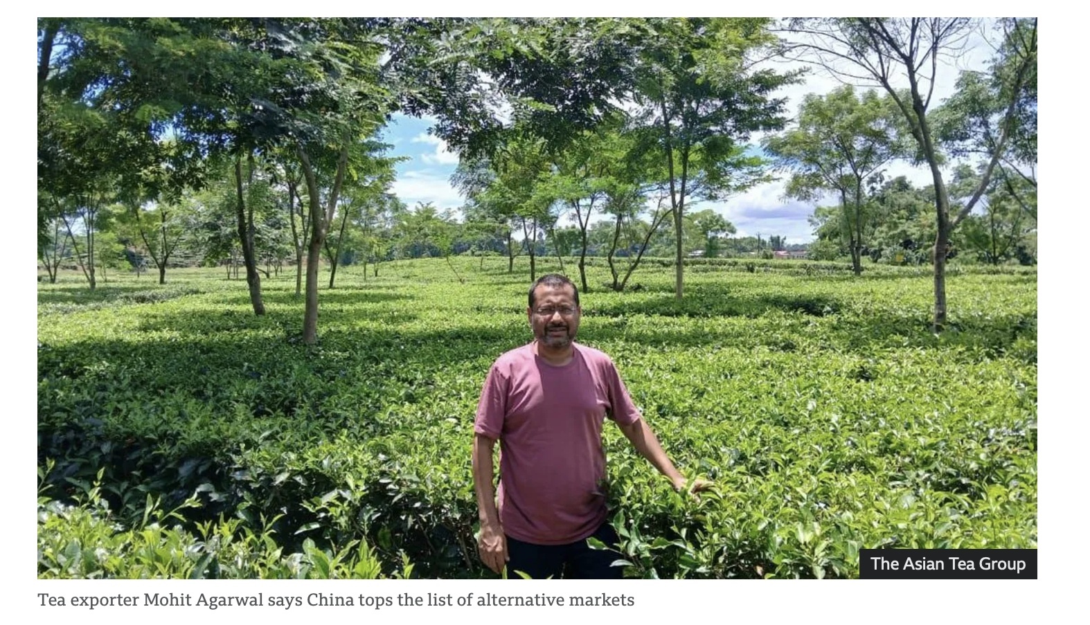 印度亚洲茶叶出口公司的莫希特·阿加瓦尔,英国广播公司网站报道截图