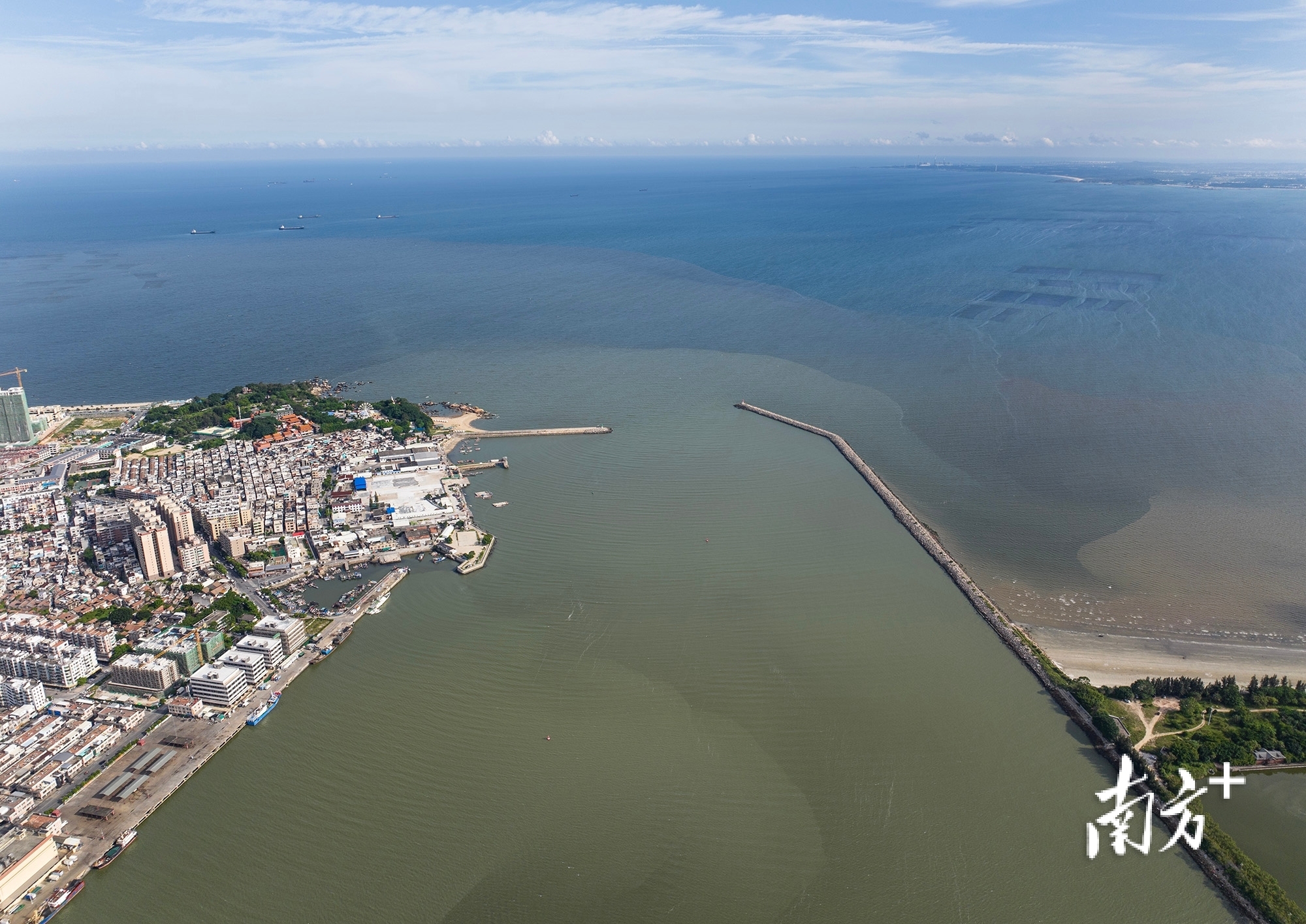 2025年，练江入海口，河水和海水已不再泾渭分明。