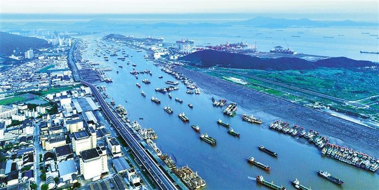 浙江省舟山市普陀区沈家门渔港夏日风光。邹训永摄(中经视觉)