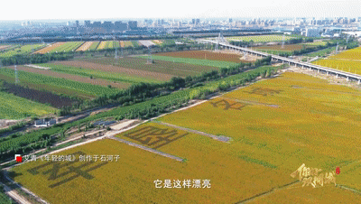 ↑“全国双拥模范城”石河子