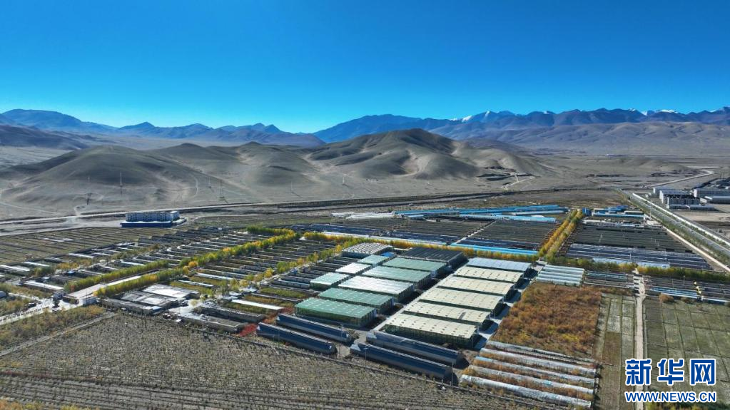 图为阿里噶尔县生态农业产业园（无人机照片，9月26日摄）。新华网 柑丹鸯琦摄