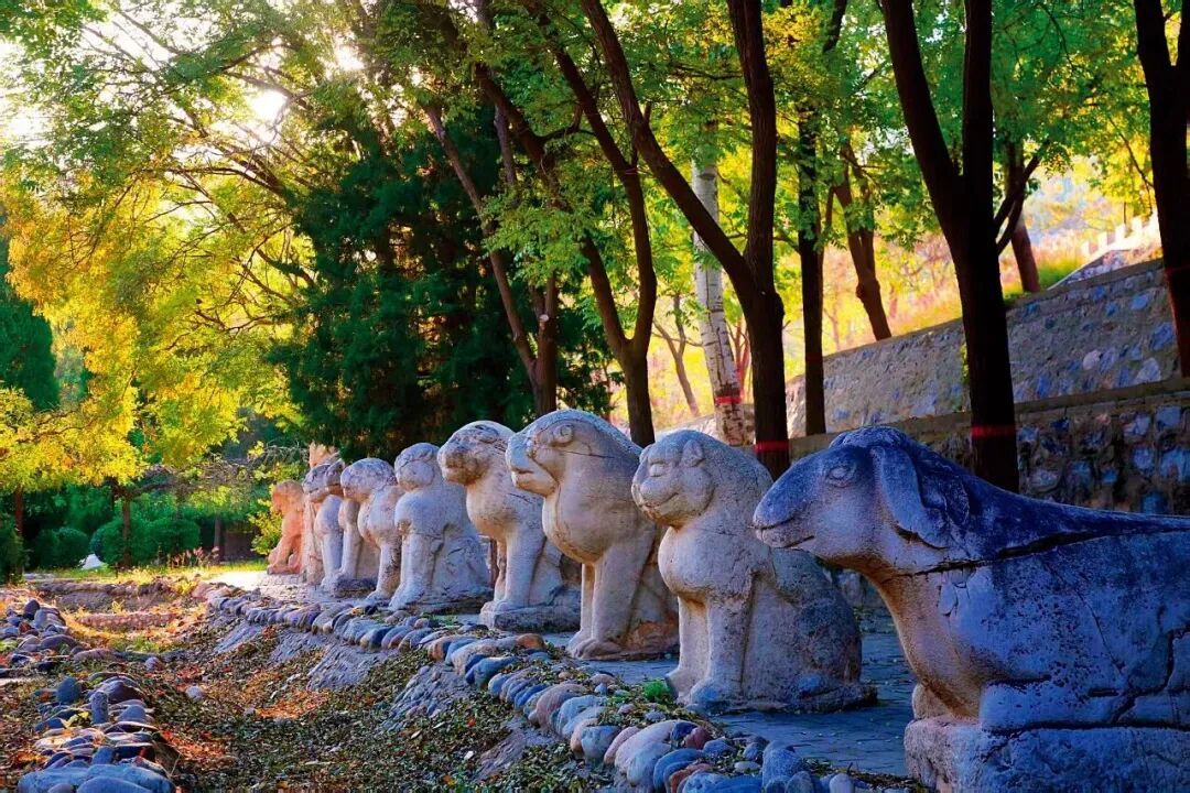 河北保定市长信公园内的满城汉墓历朝石像生 供图/满城区汉墓景区