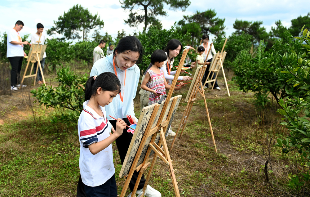 从短期实践到长效支持、从“输血”到“造血”、从付出到收获——一份来自西部的“青春实践报告”
