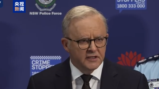 △澳大利亚总理阿尔巴尼斯