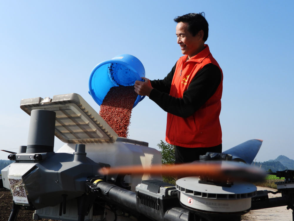 11月21日，农机手在四川省达州市渠县文崇镇谭坝社区田间给植保无人机添加小麦种子，准备进行“飞播”作业。（邓良奎 摄）