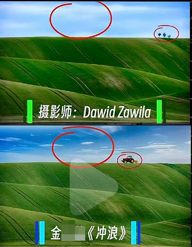 ▲金某某参展作品《冲浪》被指抄袭