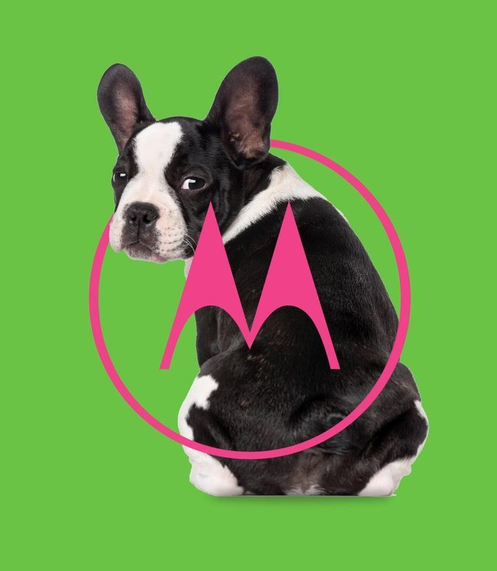 一台 1600 的小折叠,把三星 Z Fold7 打入了冷宫