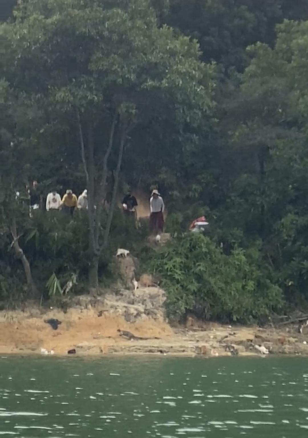 ▲清遠(yuǎn)一水庫被放生貓咪 圖據(jù)網(wǎng)絡(luò)