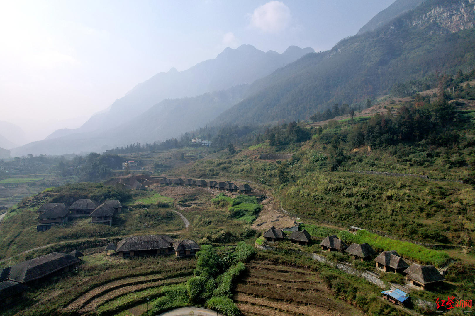 ▲稻田精品民宿的成片建筑