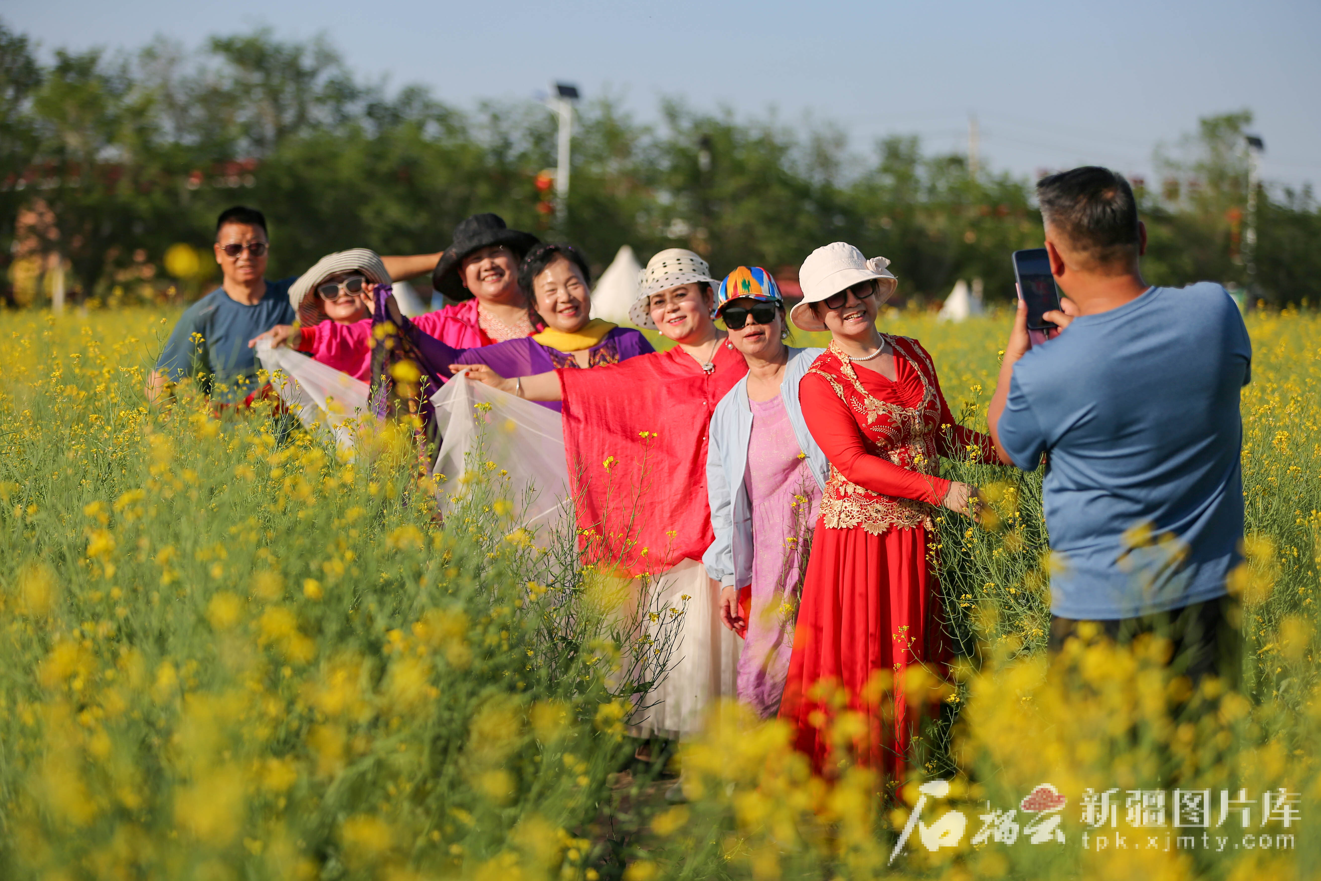 5月9日，游客在昌吉市六工镇十三户村千亩油菜花田景区拍照。
