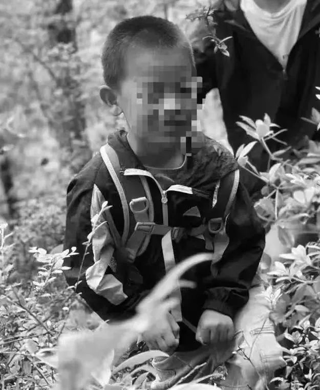走失并已确认离世的8岁自闭症男孩。来源:大理融媒