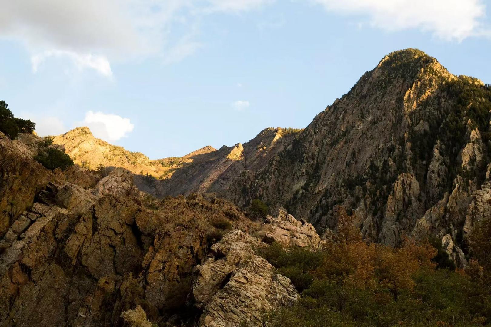 ▲大棉白杨峡谷