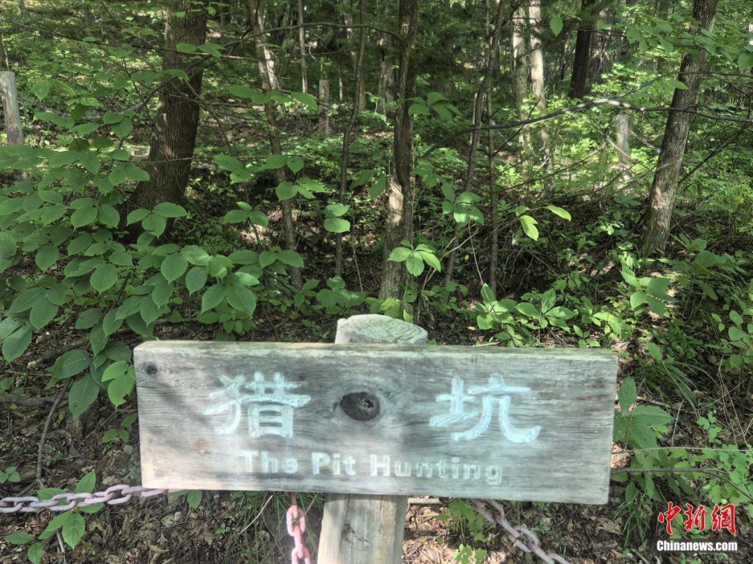猎坑。苍雁 摄