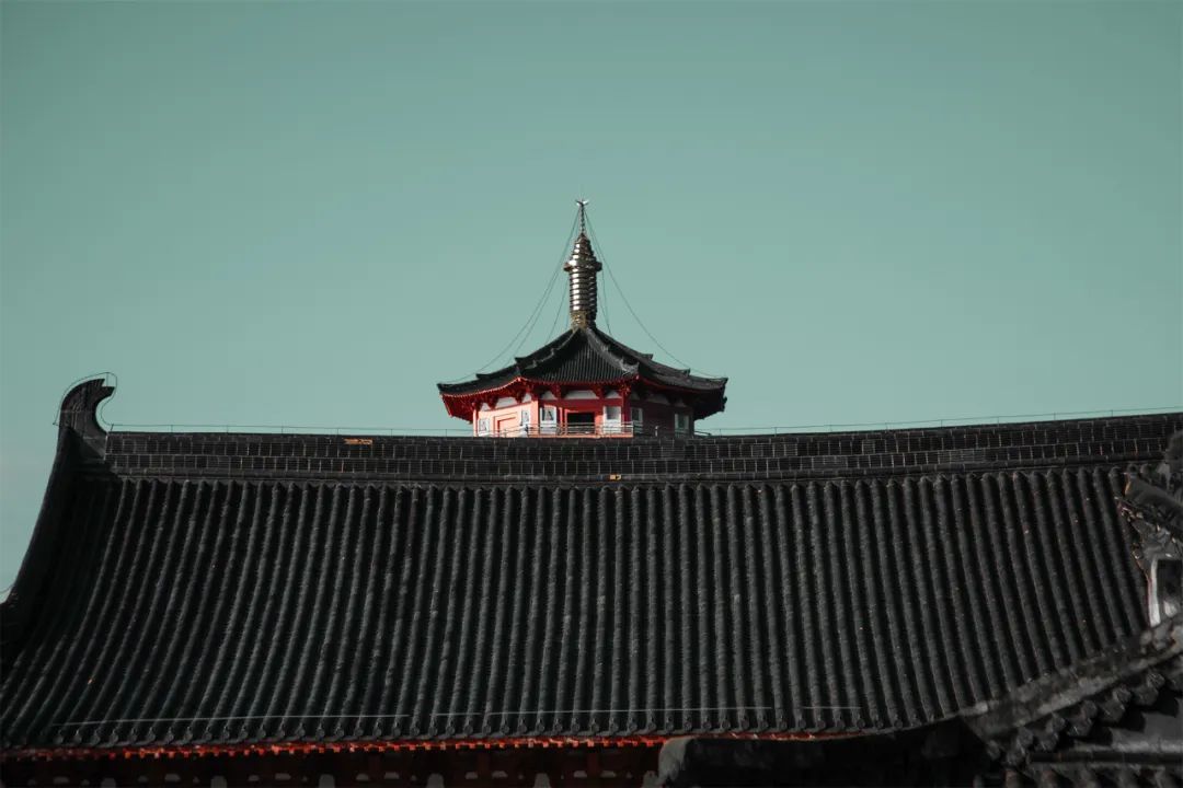 ▲藏