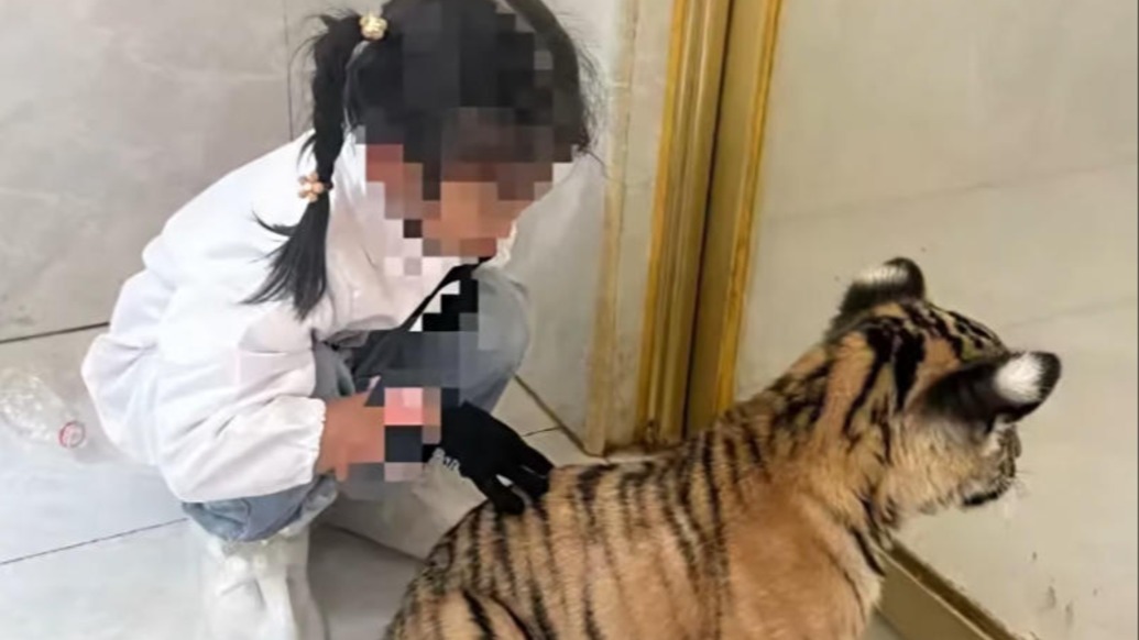视频截图