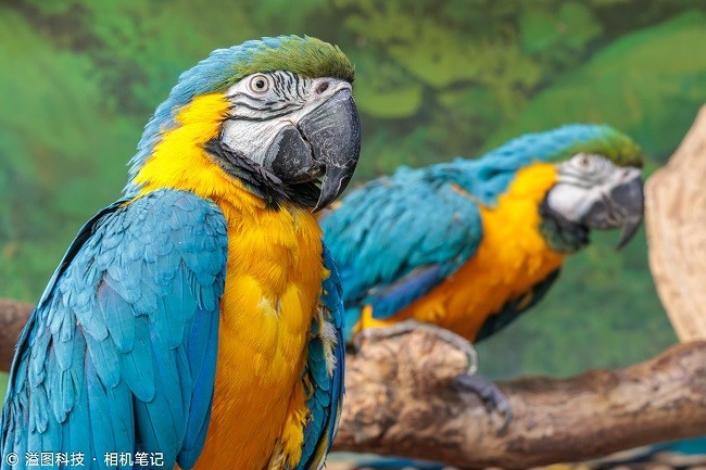 ETR79952_2000_溢图.jpg