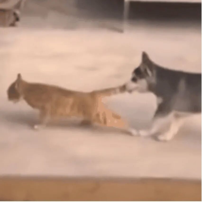 图片来源:表情包