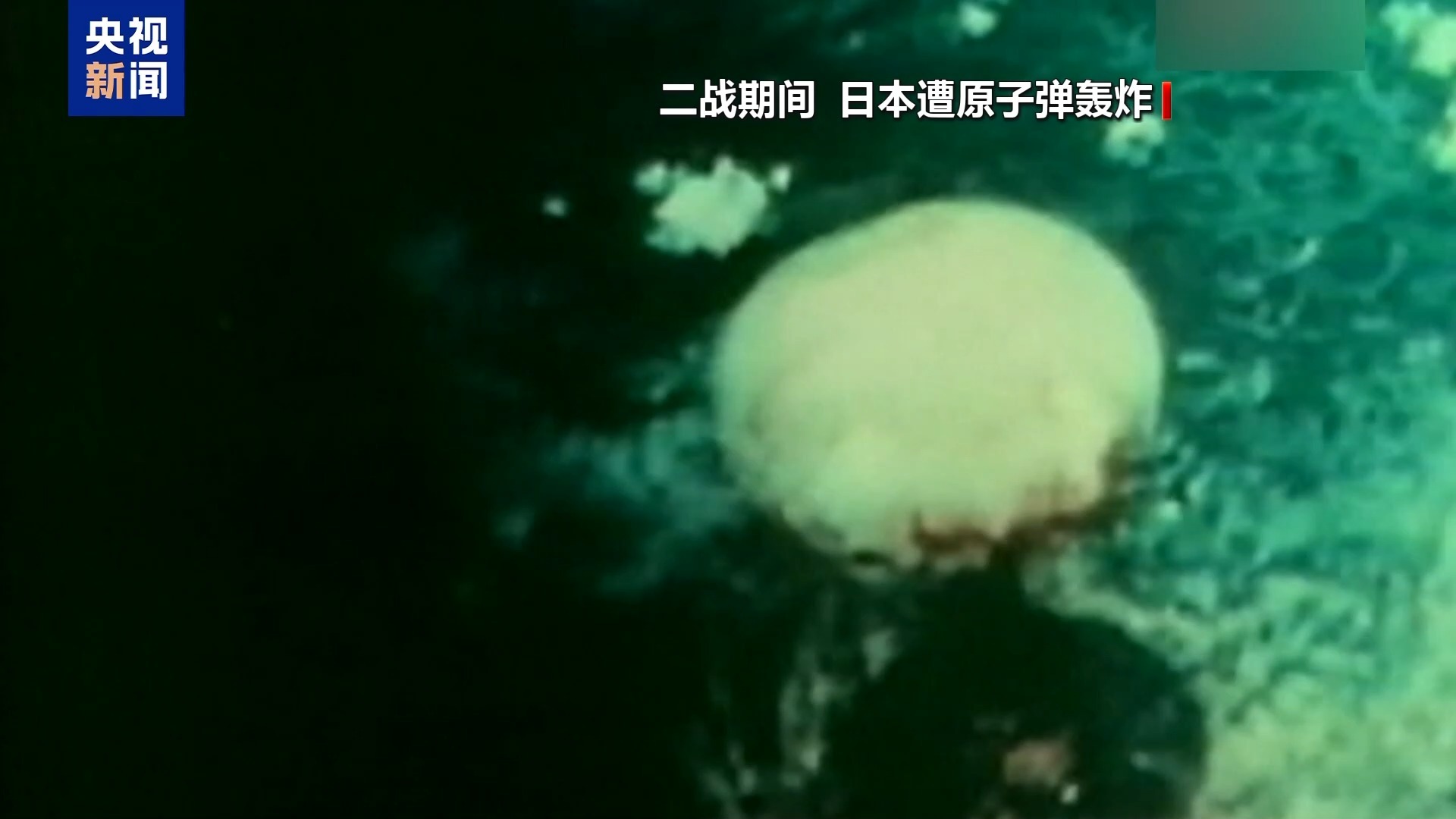 视频丨错误言论后果已现 搞事的高市错在哪？