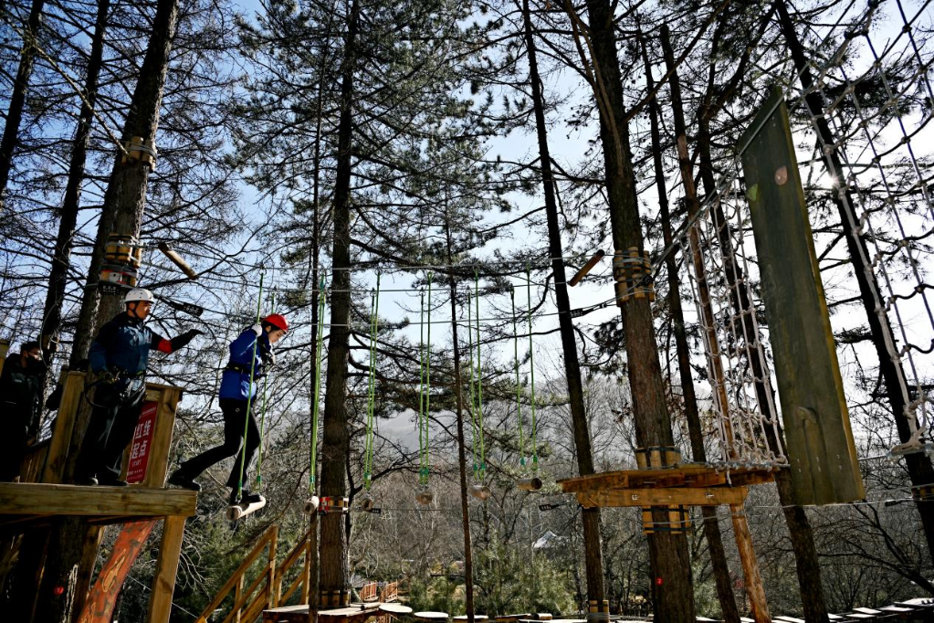 游客在大东沟森林旅游度假区体验丛林穿越。新华网 发
