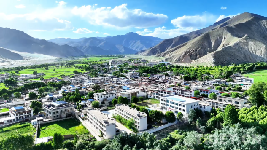 图为绿意盎然的南木林县土布加乡