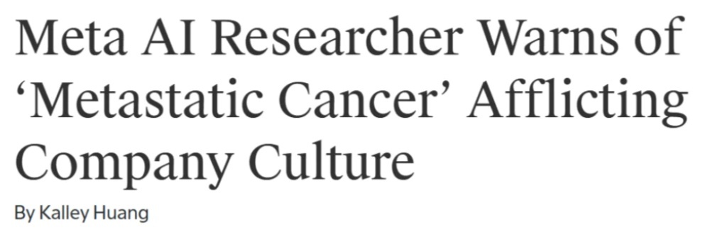 英伟达AMD投出一家500亿估值AI独角兽