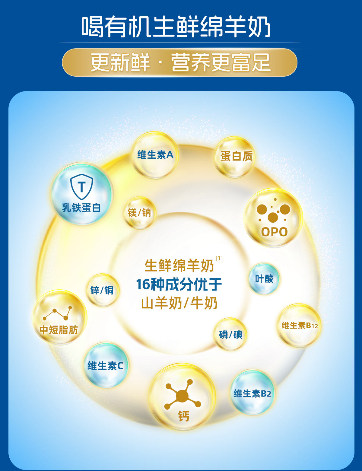 图片3png.png