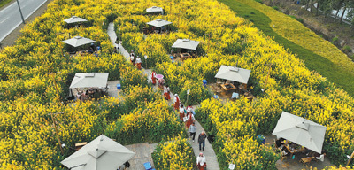 春和景明 消费场景上新（经济聚焦）