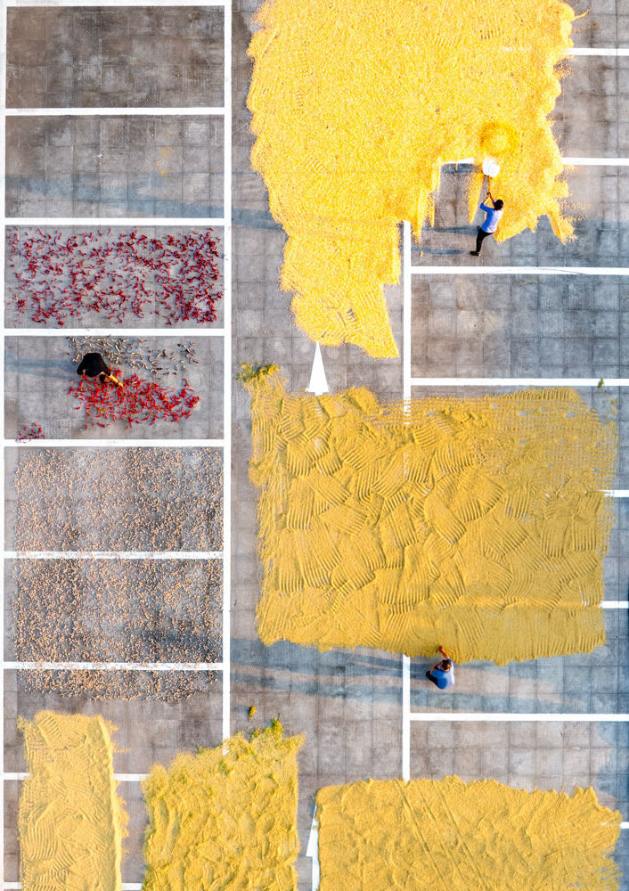 ↑2025年9月7日，农民在重庆市南川区黎香湖镇西湖村晾晒稻谷、玉米、花生、红辣椒等农作物。（无人机照片）CICPHOTO/罗川 摄