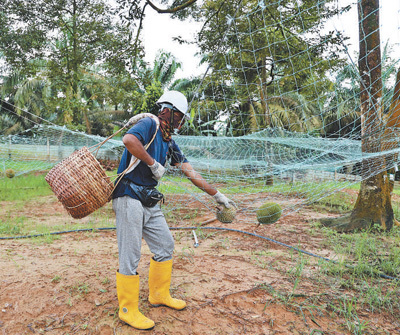 “马来西亚和中国合作实现了双赢”