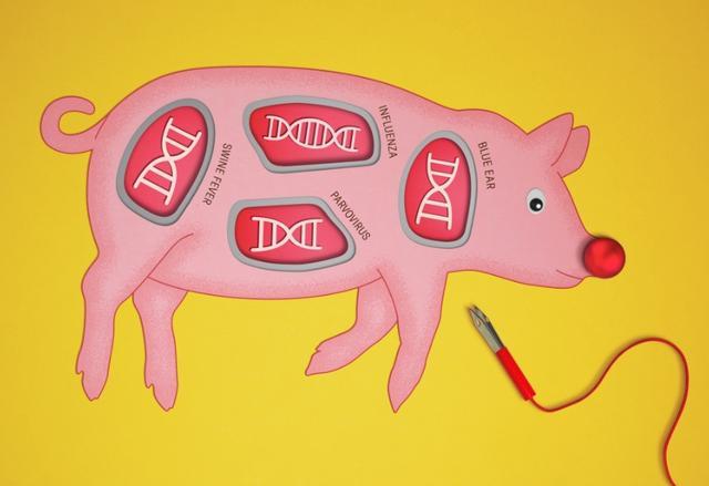 （来源：MIT Technology Review）