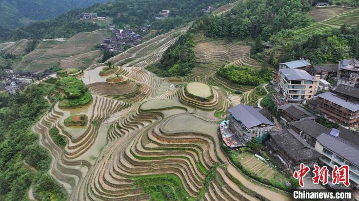 图为龙脊梯田景观。(无人机照片)杨宗盛 摄