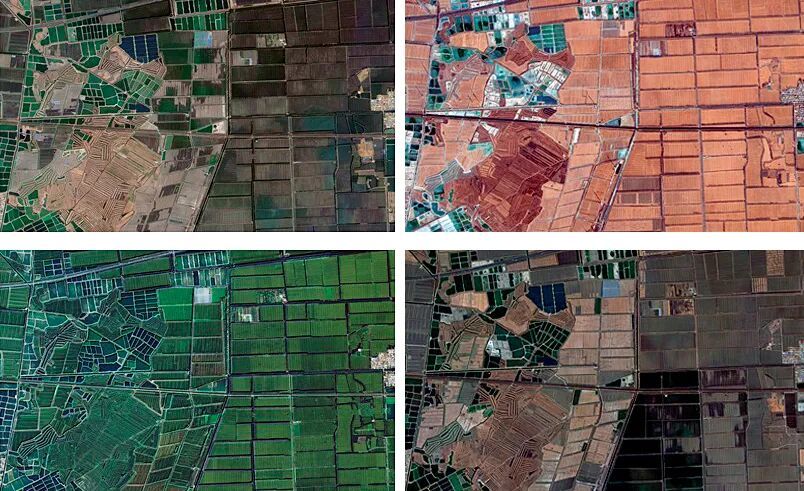 河北某农场不同季节的卫星遥感图片 图/自然资源部国土卫星遥感应用中心