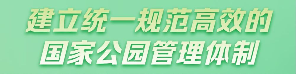 新华全媒+｜首次立法！国家公园筑起“法治屏障”
