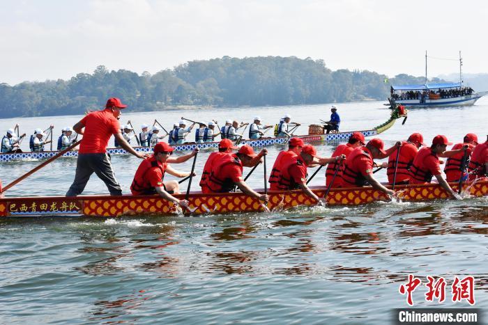 当地时间5月31日，巴西瑞安商会和巴西青田同乡总会在巴西圣保罗联合举办“庆端午，龙舟竞渡”活动，吸引近500名侨胞和巴西友人参加。图为巴西瑞安龙舟俱乐部和巴西青田龙舟队击鼓竞渡。 中新社记者 林春茵 摄