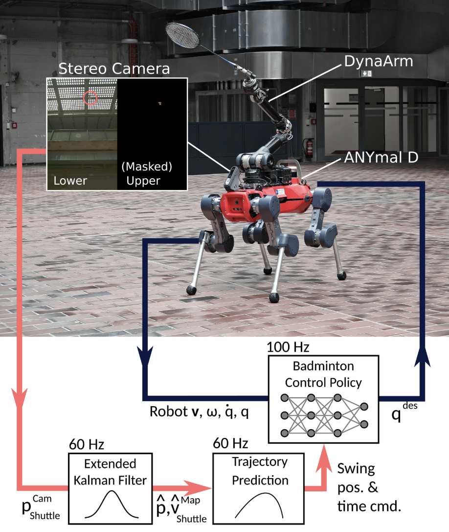 机器狗能当羽毛球搭子了!仅靠强化学习从0自学,还涌现出类人回位行为 | Science子刊