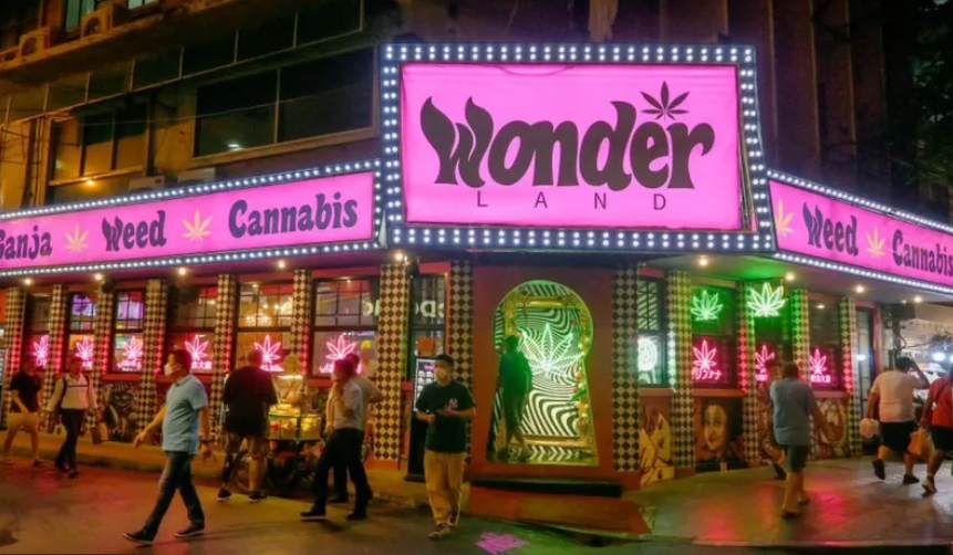 在阿努廷的推动下,如今泰国街头的大麻店随处可见
