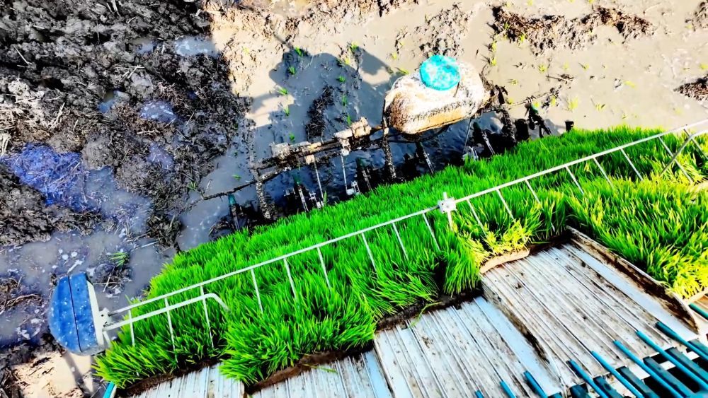 微视频｜“三夏”农忙时节 “数”看各地丰收图景