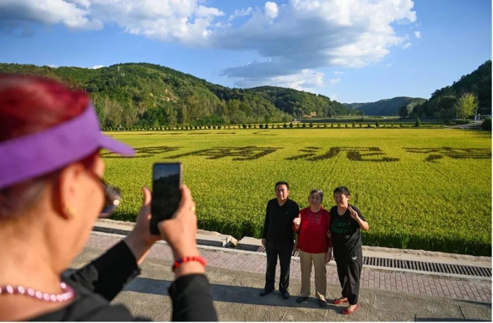 游客在南泥湾的稻田前留影。新华社记者 邹竞一 摄