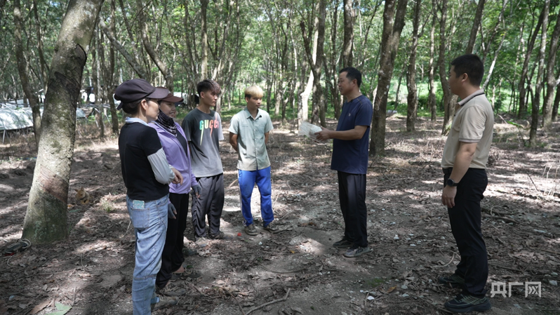 技术员李学军（右二）向村民介绍虎乳灵芝的种植方法（央广网记者 付美斌 摄）