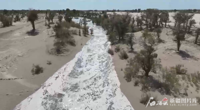 无人机拍摄的引洪补水灌溉胡杨林场景。沙雅县胡杨林保护中心供图