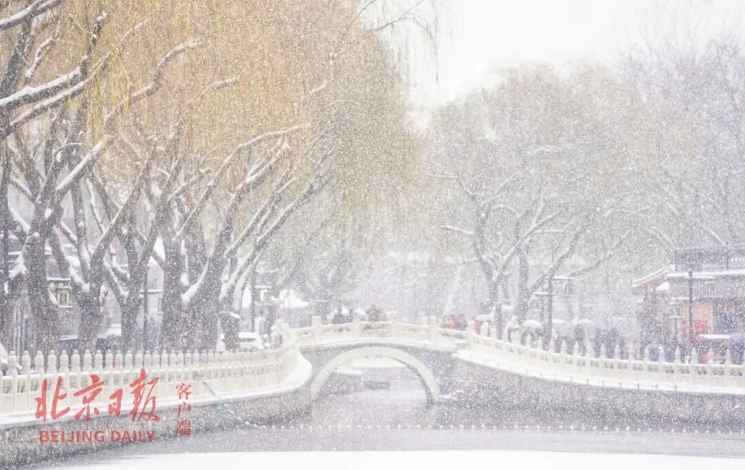 (资料图)什刹海雪景。北京日报记者 方非 摄