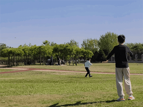 OPPO Reno14实况照片体验 视频能转录全焦段清晰