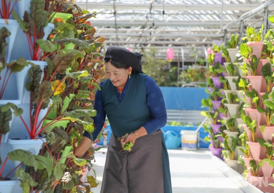 图为当地工人在园区内工作 摄影：贾华加