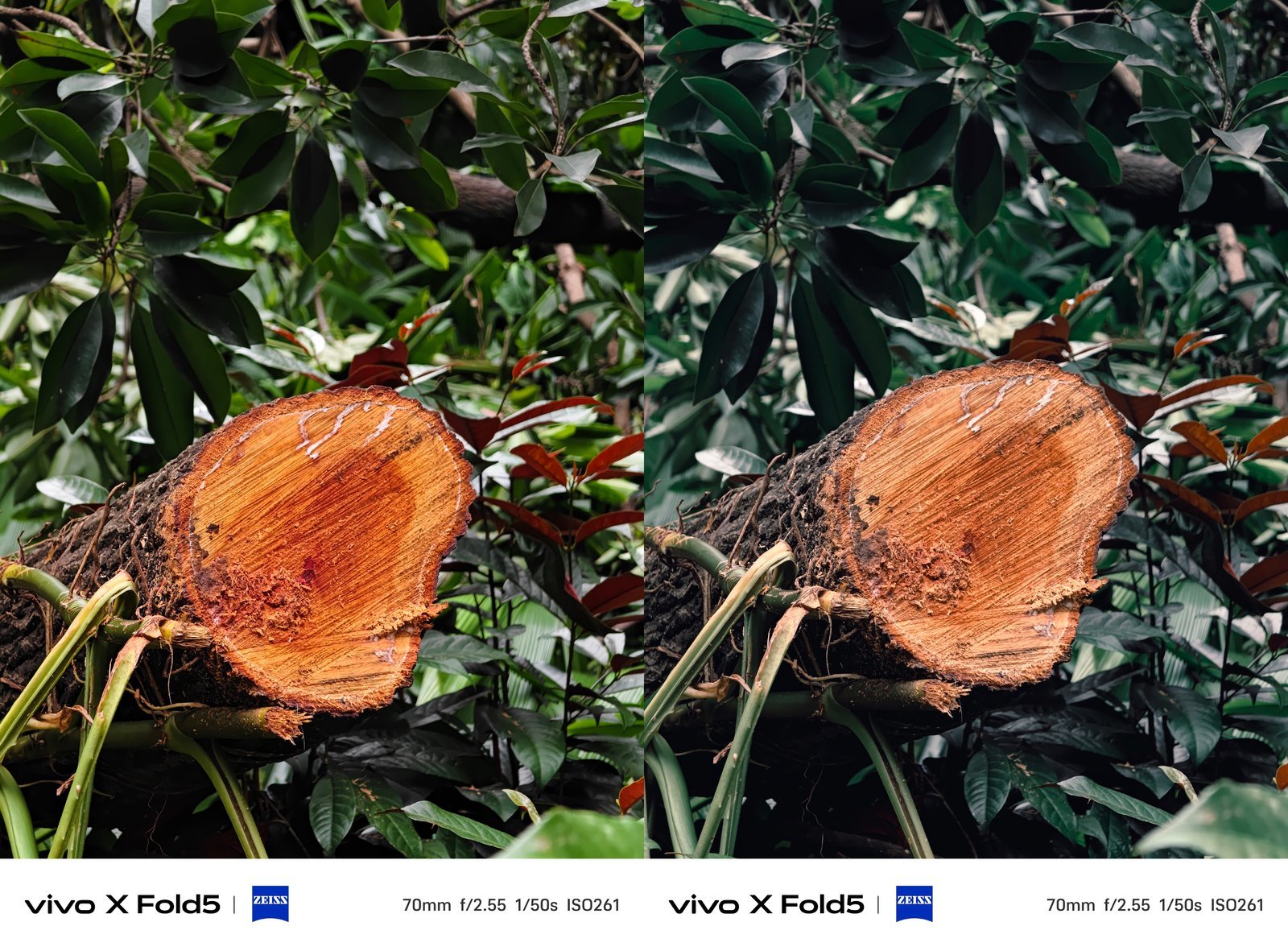 vivo X Fold5评测:更轻更强的轻办公神器