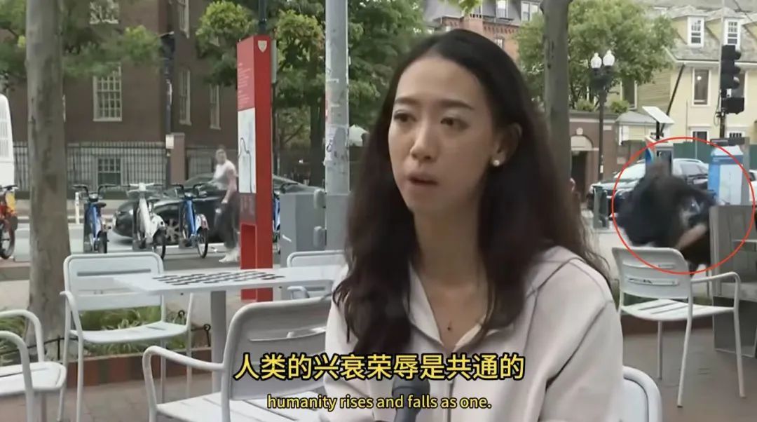 ▲蒋雨融在接受采访时，身后有两个人正在打架（图/视频截图）