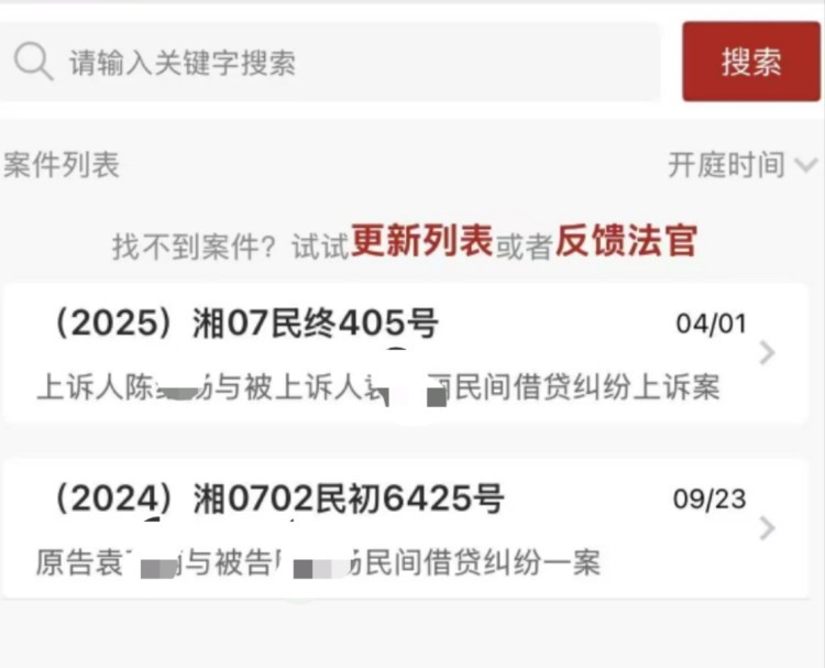“湖南陈某杨”与袁女士的借贷纠纷案。图片来源/受访者供图