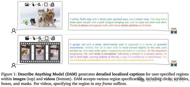 英伟达华人硬核AI神器秒变细节狂魔!仅3B逆袭GPT-4o