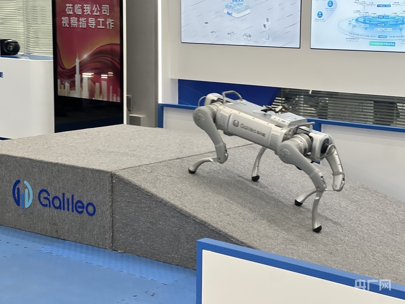“机器狗”正在巡逻（央广网发 王婧瑜 摄）